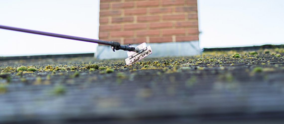 What Are The Benefits Of Roof Moss Removal and Cleaning?